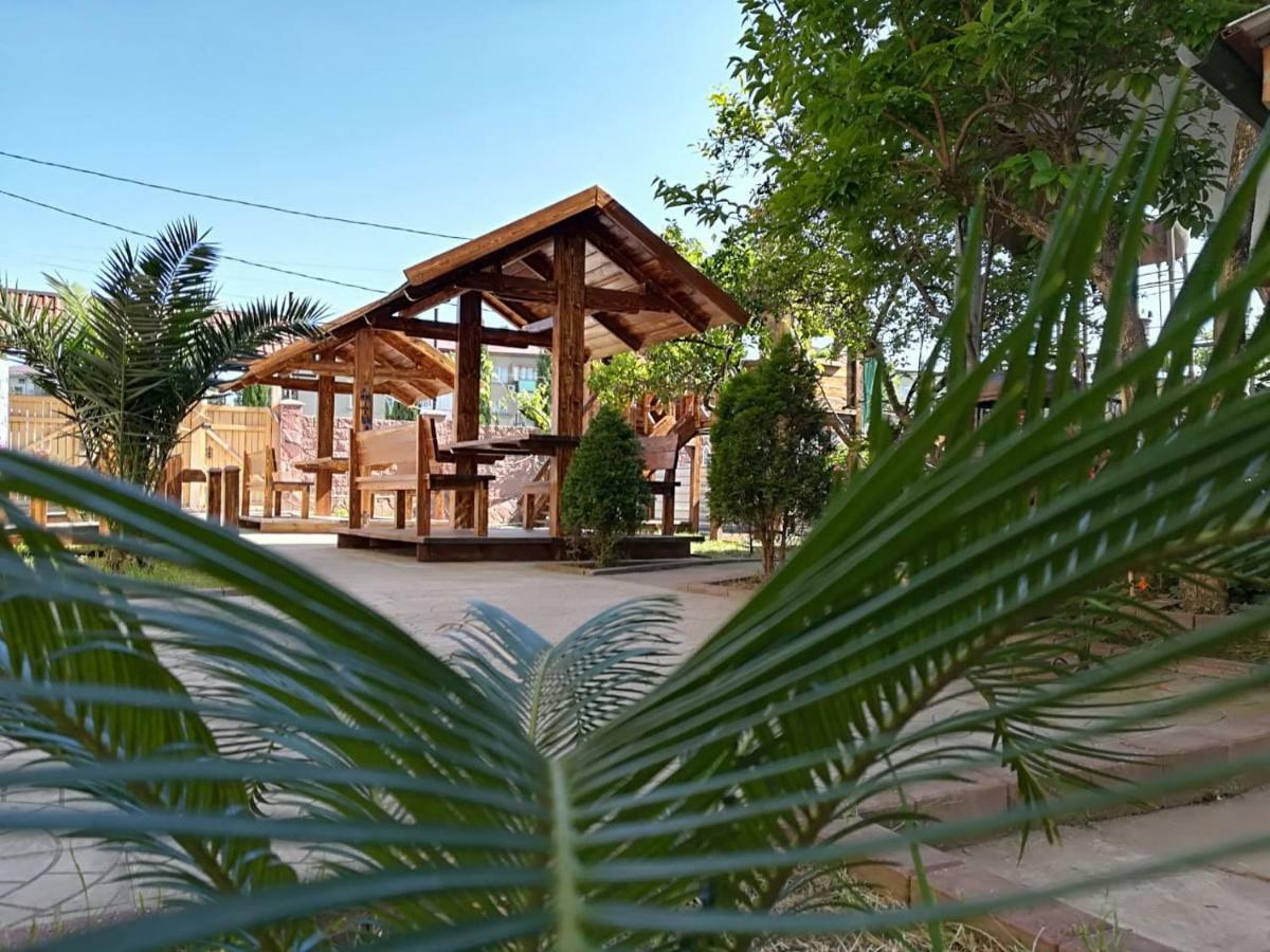 Runo Guest House Gagra Extérieur photo